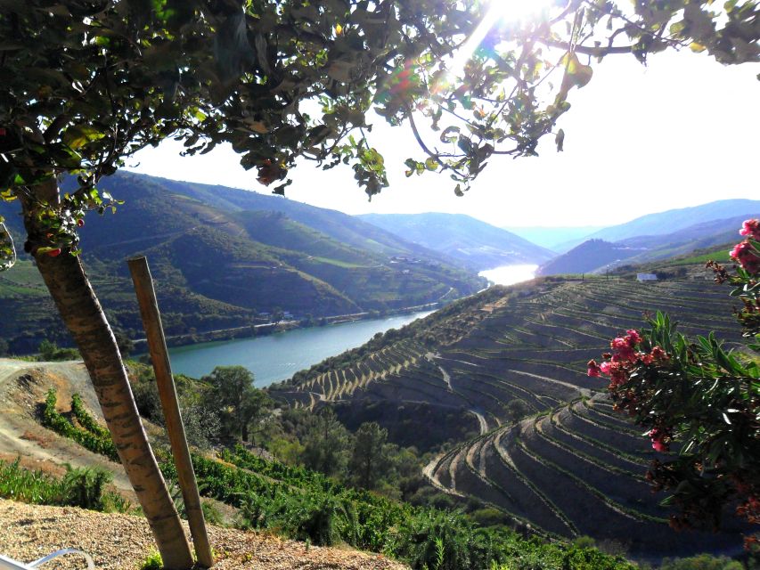 Porto: Authentic Private Douro Valley Tour - Frequently Asked Questions