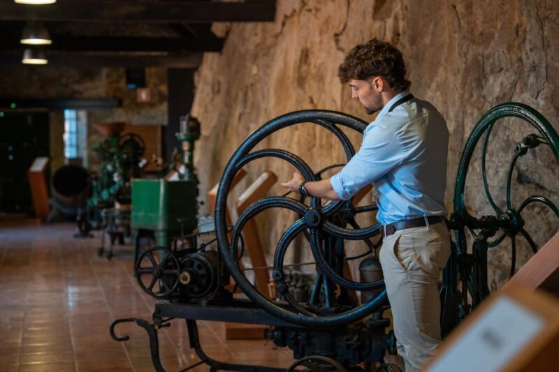 Porto City Full Day Minibus Tour, Wine Tasting & Six Brigdes - What’s included and what’s not
