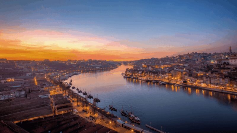 Porto City Tour: Private day tour with tickets included. - Key Points