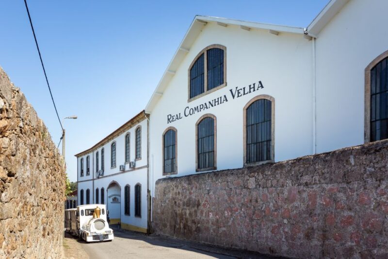 Porto: City Train Tour, River Cruise & Wine Cellar - Flexibility and Additional Options