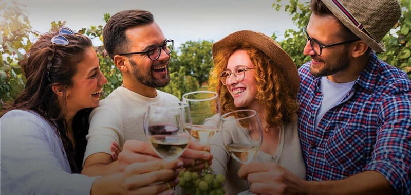Porto: Dão Wineries Tour with Wine Tasting, Lunch and Cheese - The Experience of the Wineries