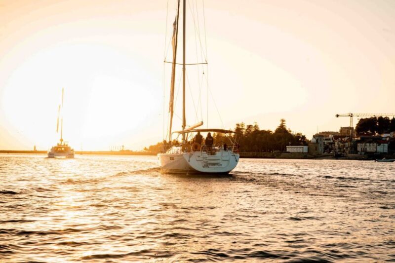 Porto: Daytime or Sunset Douro River Sightseeing Cruise - A Closer Look at the Douro River Cruise Experience
