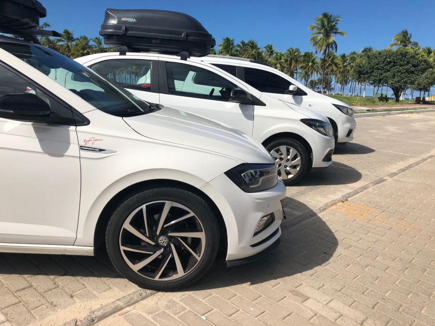Porto De Galinhas and Recife Private Transfer - Safety Features