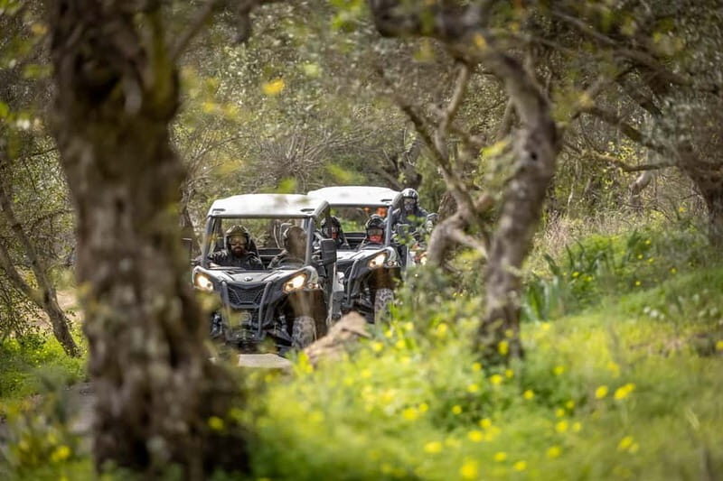 Porto: Dirt and Dust Tour by Oporto Buggy - What Is the Porto Dirt and Dust Tour?