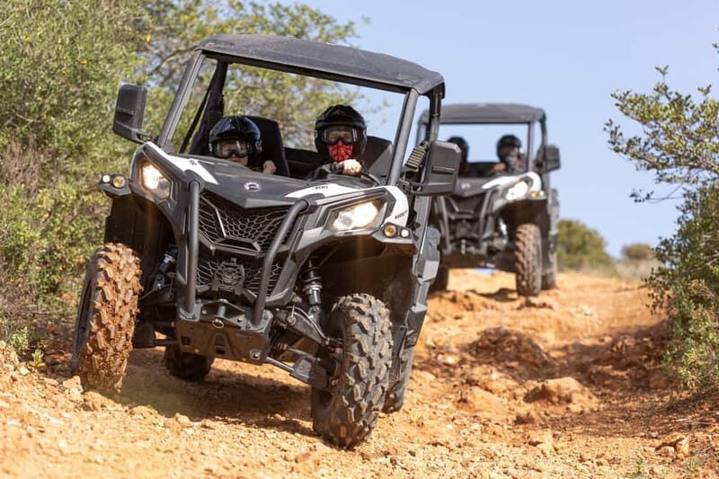 Porto: Dirt and Dust Tour by Oporto Buggy - How the Tour is Structured