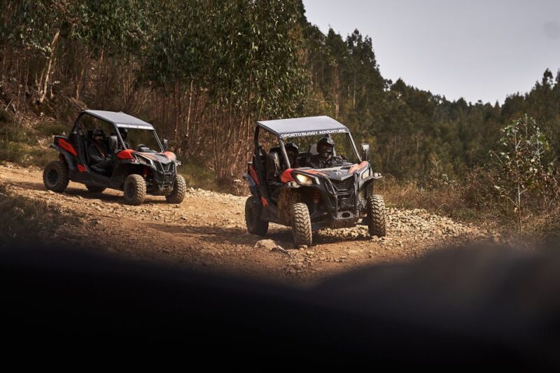 Porto: Dirt and Dust Tour by Oporto Buggy - FAQ