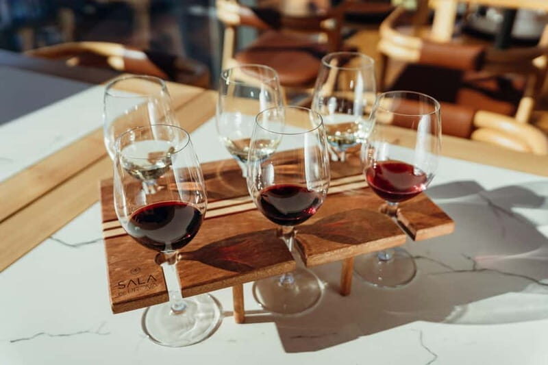 Porto: Doura Wine Tasting in the Sala de Prova - The Experience: A Detailed Look