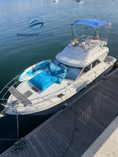 Porto: Douro 6 Bridges or Sunset Tour With Welcome Drinks - Customer Testimonials