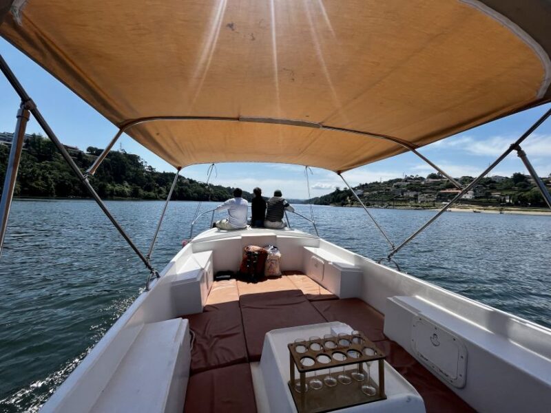 Porto: Douro River Boat Cruise with Port Wine Tasting - An In-Depth Look at the Porto Douro River Cruise Experience