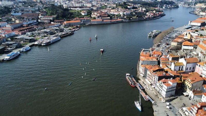 Porto: Douro River Kayak or Standup Paddleboard Tour - Final Thoughts: Who Should Consider This Experience?