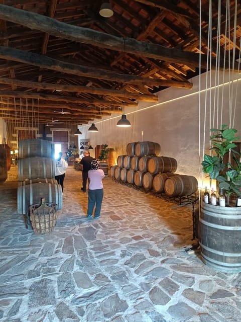 Porto: Douro valley 2 farms with wine tasting and lunch - Introduction