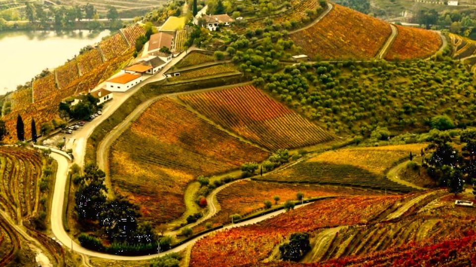 Porto: Douro Valley 2 Vineyards Tour W/ Lunch & River Cruise - Meeting Point