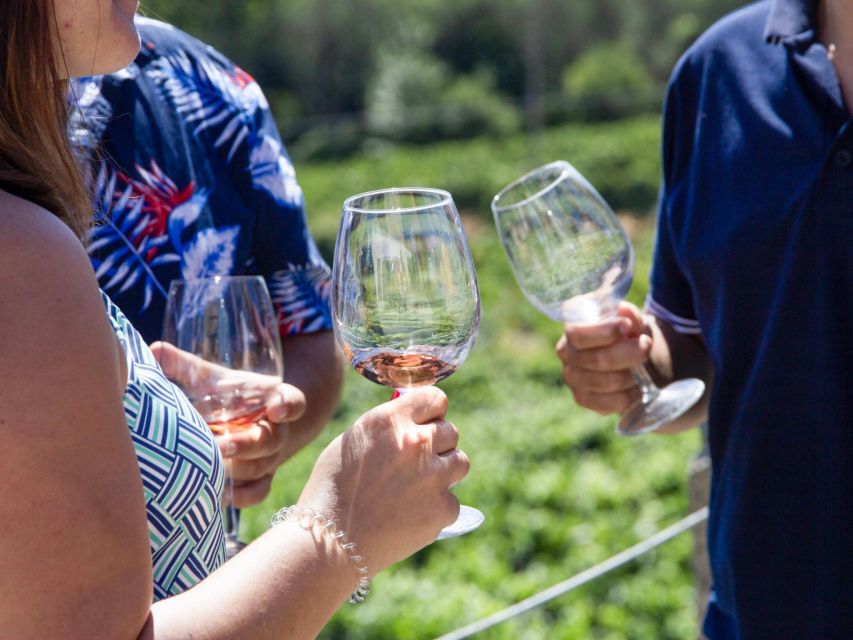 Porto: Douro Valley 2 Vineyards Tour W/ Lunch & River Cruise - Departure Details