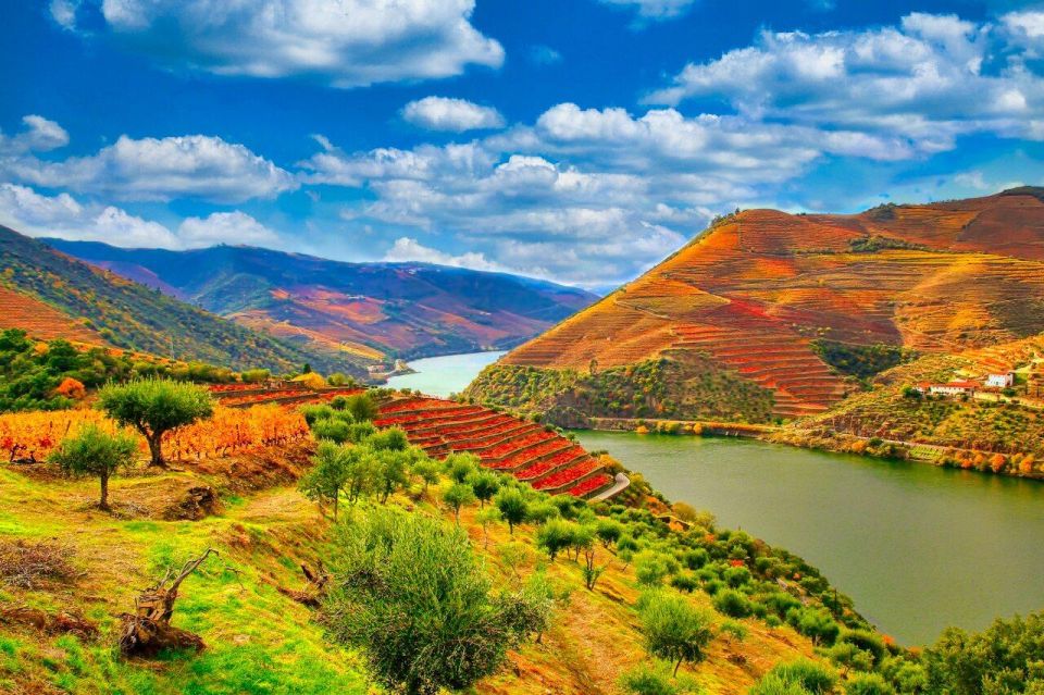 Porto: Douro Valley 2 Vineyards Tour W/ Lunch & River Cruise - Highlights of the Tour