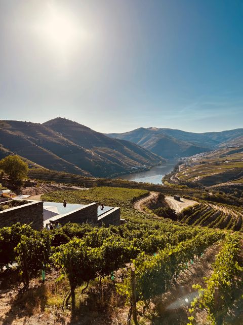 Porto: Douro Valley, 2 Wineries, Lunch, and 1-Hour Boat Tour - Key Points