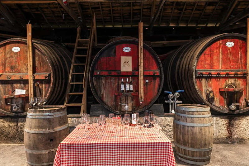 Porto: Douro Valley, 2 Wineries, Lunch & Private Boat Trip - The Sum Up