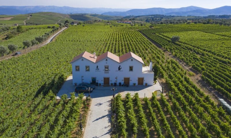 Porto: Douro Valley Day Trip with Lunch and Favaios Village - An Authentic Day in the Douro Valley