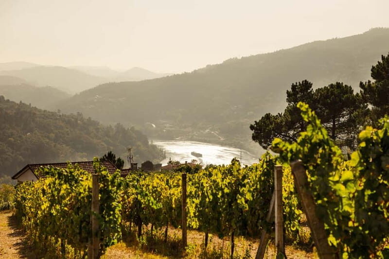 Porto: Douro Valley Exclusive Vinho Verde Tour - Key Points