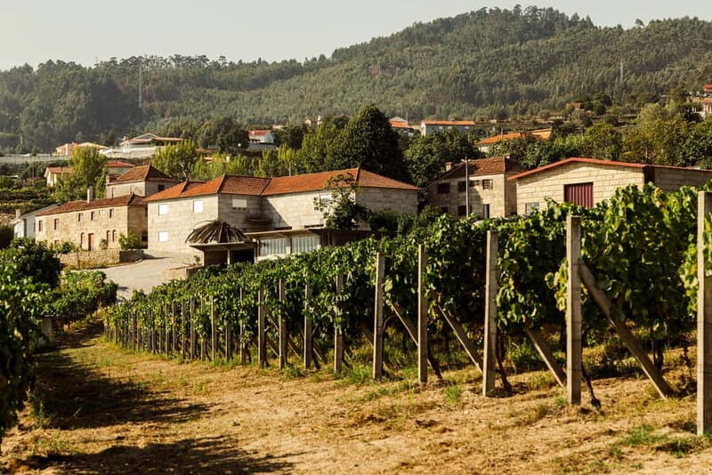 Porto: Douro Valley Exclusive Vinho Verde Tour - Is This Tour Worth the Price?