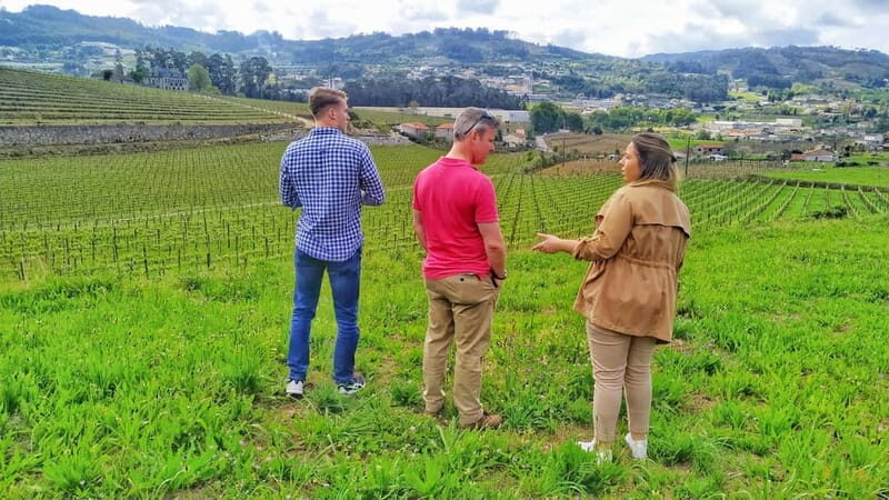 Porto: Douro Valley Exclusive Vinho Verde Tour - Final Thoughts