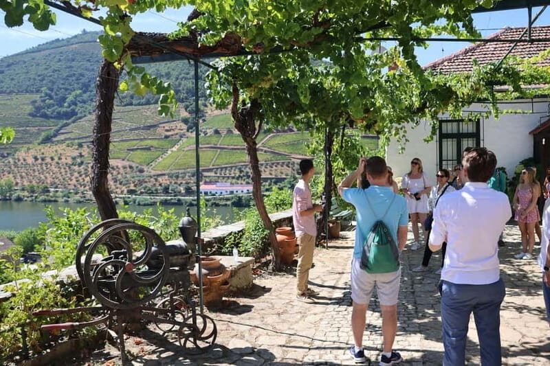 Porto: DOURO VALLEY Half-day Tour - The Value of the Experience: Balancing Cost and Content
