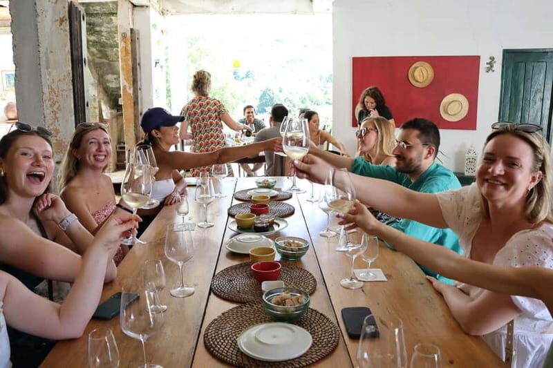 Porto: DOURO VALLEY Half-day Tour - Who Will Enjoy This Tour?