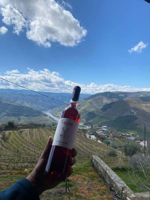 Porto: Douro Valley Half-Day Wine and Food Tour - Key Points