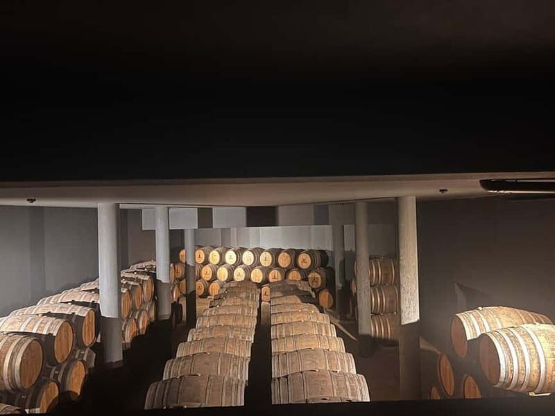 Porto: Douro Valley Half-Day Wine and Food Tour - An Authentic Taste of the Douro Valley
