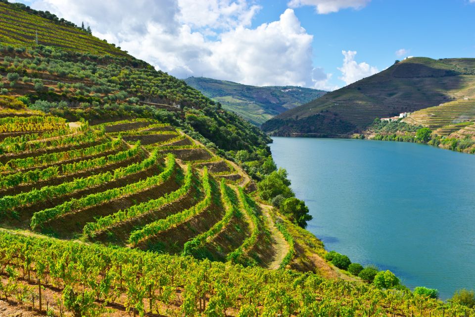 Porto: Douro Valley History & Wine Tour With Cruise & Lunch - Key Points