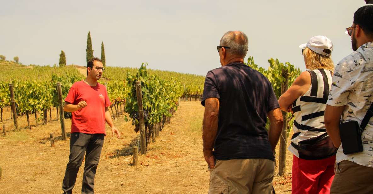 Porto: Douro Valley History & Wine Tour With Cruise & Lunch - Exploring Amarante