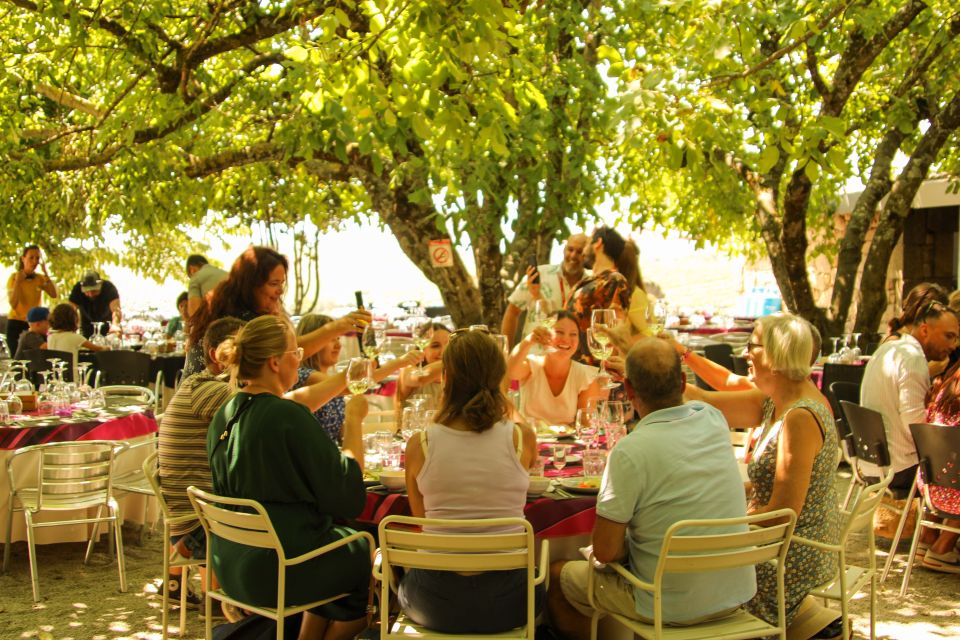 Porto: Douro Valley History & Wine Tour With Cruise & Lunch - Highlights of the Tour