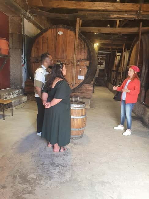 Porto: Douro Valley Private Tour with Winery Visit & Lunch - A Local, Traditional Lunch