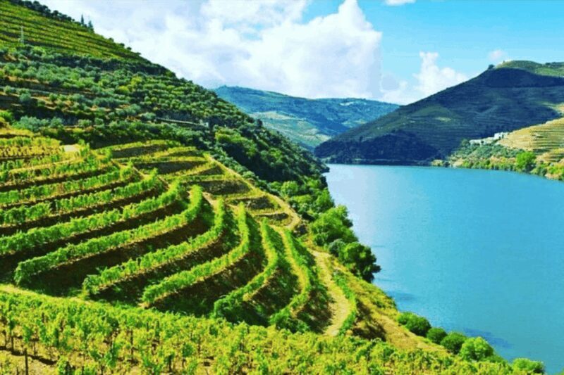 Porto: Douro Valley Tour w/ 3 Tastings, Lunch, & Opt. Cruise - Exploring the Douro Valley: What Travelers Can Expect