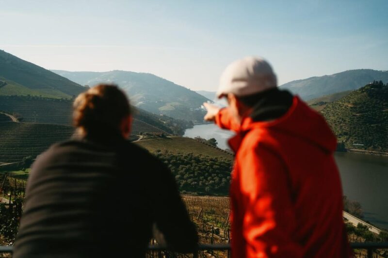 Porto: Douro Valley Tour with 2 Wineries, Lunch and Cruise - An Introduction to the Douro Valley Tour