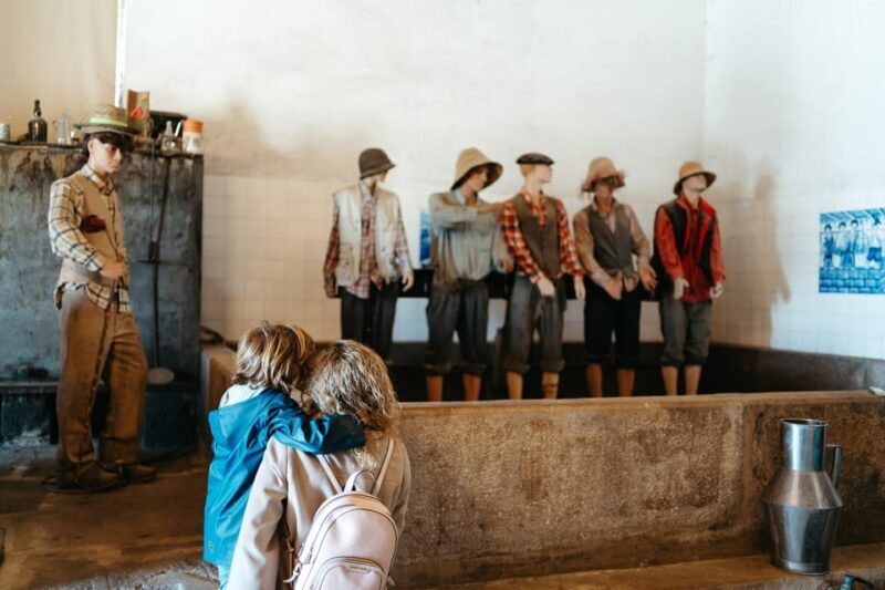 Porto: Douro Valley Tour with 2 Wineries, Lunch and Cruise - Who Will Love This Tour?