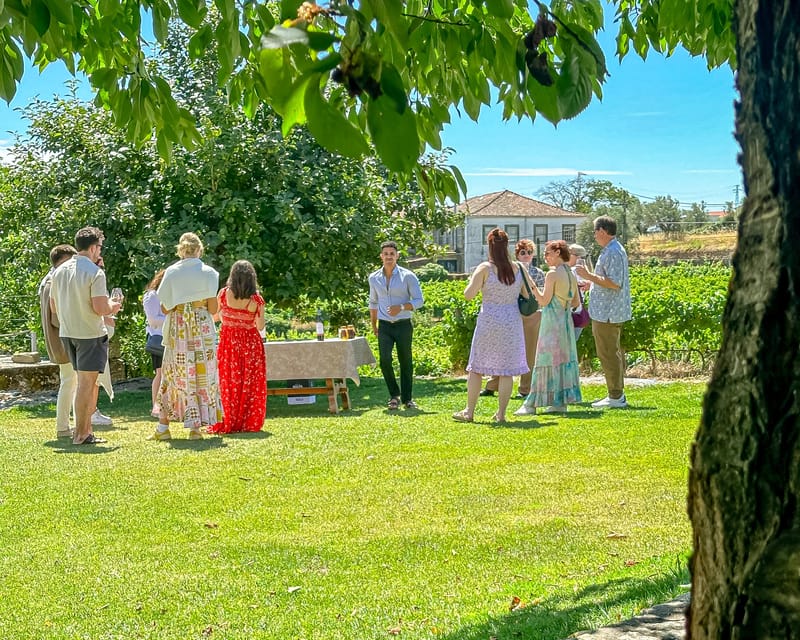 Porto: Douro Valley Tour with 2 Wineries, Lunch and Cruise - What Makes This Tour Stand Out?