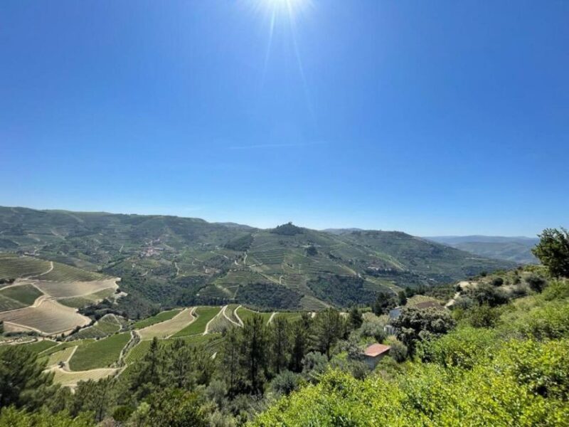 Porto: Douro Valley Tour with 2 Wineries, Lunch and Cruise - Final Thoughts: Who Will Love This Tour?