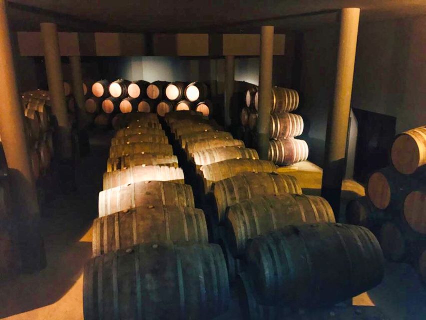 Porto: Douro Valley Tour With 2 Wineries, Lunch and Cruise - Key Points