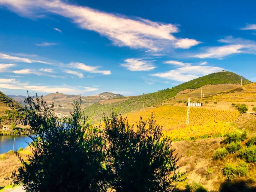 Porto: Douro Valley Tour With 2 Wineries, Lunch and Cruise - Winery Visits and Tastings