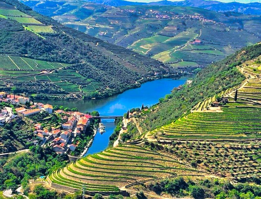 Porto: Douro Valley Tour With 2 Wineries, Lunch and Cruise - Accessibility Restrictions