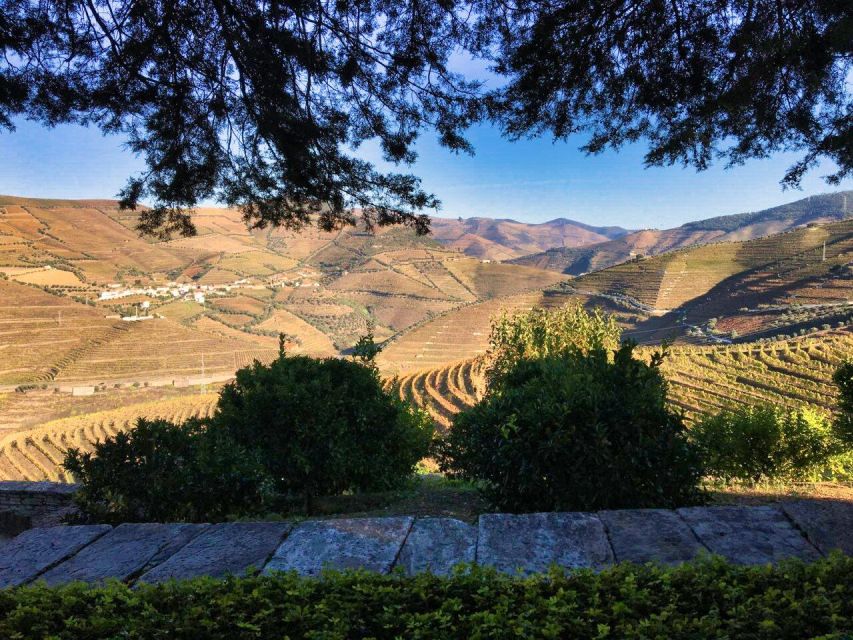 Porto: Douro Valley Tour With 2 Wineries, Lunch and Cruise - Frequently Asked Questions