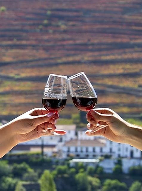 Porto: Douro Valley Tour with 3 vineyards and lunch. - Practical Details