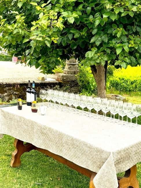 Porto: Douro Valley Tour with 3 Wineries and Lunch - Key Points