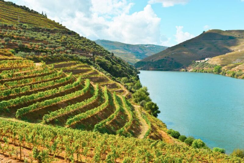 Porto: Douro Valley Tour with Wine Tasting, Cruise and Lunch - FAQs