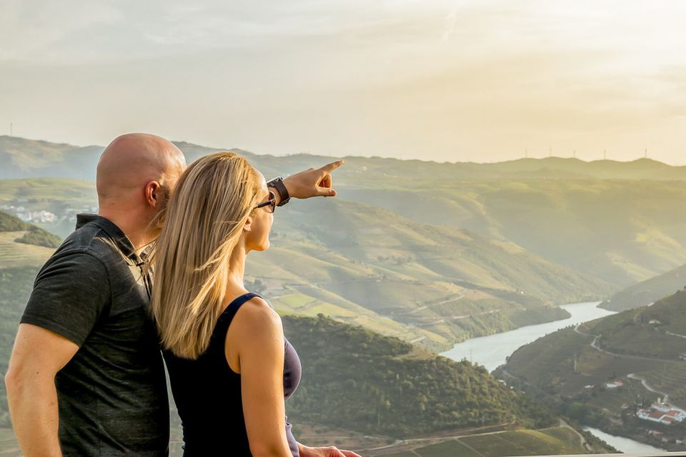 Porto: Douro Valley Tour With Wine Tasting, Cruise and Lunch - Port Wine Tasting Experience
