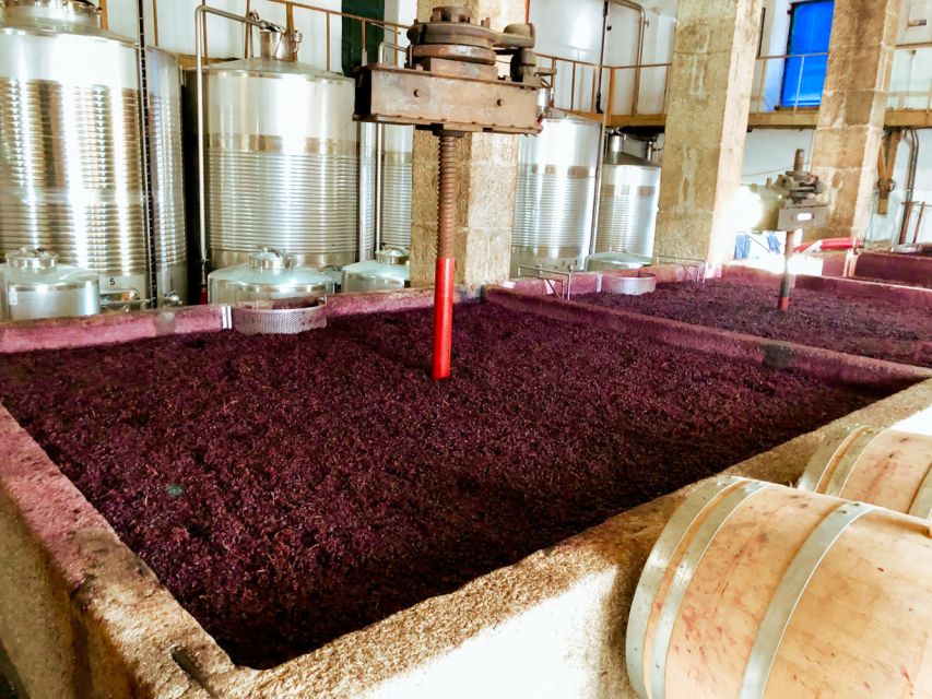 Porto: Douro Valley Tour With Wine Tasting, Cruise and Lunch - Traditional Portuguese Lunch Menu