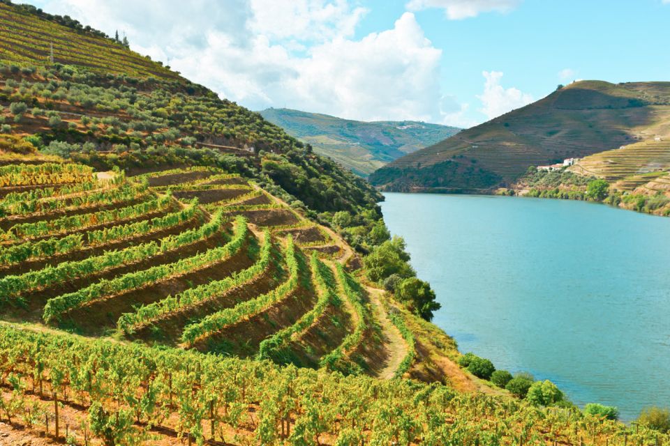 Porto: Douro Valley Tour With Wine Tasting, Cruise and Lunch - Douro River Cruise Highlights