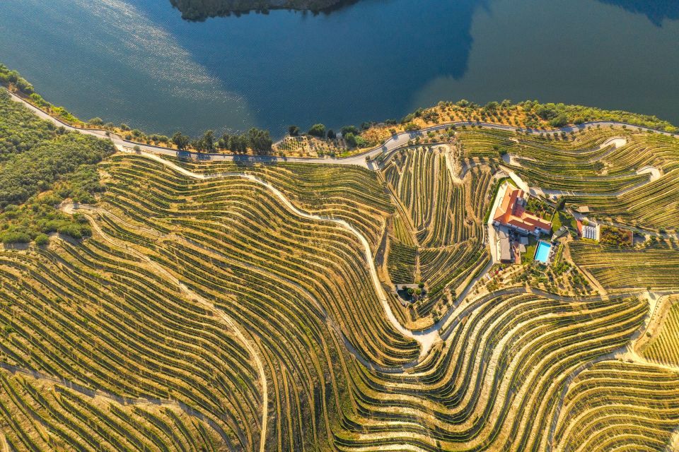 Porto: Douro Valley Tour With Wine Tasting, Cruise and Lunch - Frequently Asked Questions