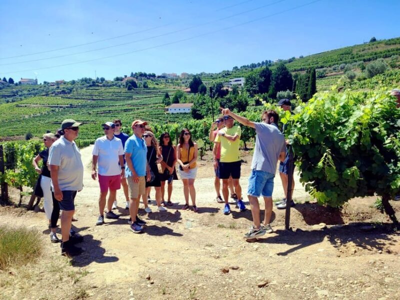Porto: Douro Valley Vineyards Tour with Lunch & River Cruise - Exploring the Douro Valley with a Guided Tour from Porto