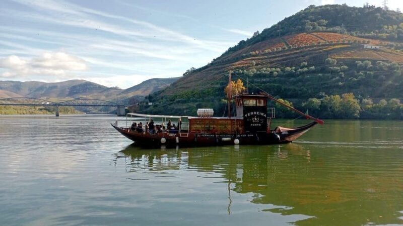 Porto: Douro Valley Vineyards Tour with Lunch & River Cruise - Who Will Love This Tour?